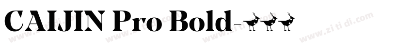 CAIJIN Pro Bold字体转换